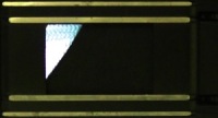 y^bNX1000