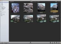 iPhoto̗H̏oO